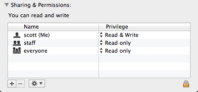 screen shot of Sharing & Permissions file metadata